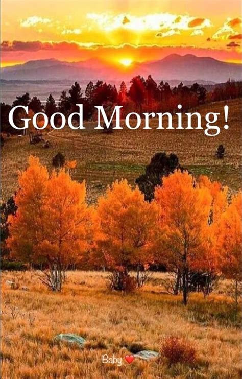 30+ Good Morning Sunrise Images