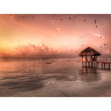 Sunrise in Jamaica. I-Phone with Snapseed and DistressedFX. : r ...