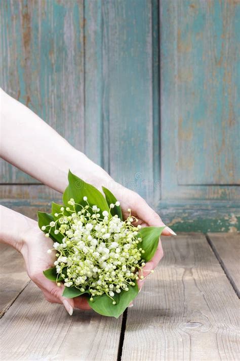 Femme Tenant Le Bouquet Des Fleurs Du Muguet Image stock - Image du
