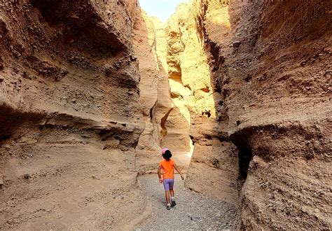 Three kid-friendly hikes in Las Cruces to check out this spring ...