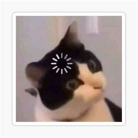 cat buffering meme loading cat meme template cifk
