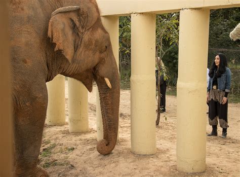 Cher – The Great Elephant Migration