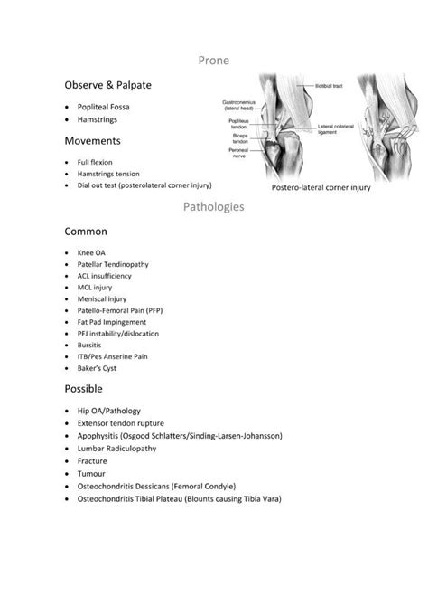 Anterior Knee Pain with Advice on Exercises - Osteopath Edinburgh