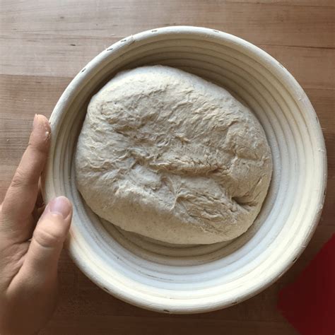 Rising To The Occasion: 5 Signs Your Dough Is Proofed