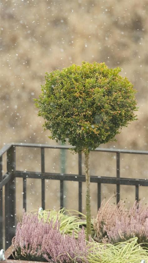 Pron Video Videos, Download The BEST Free 4k Stock Video Footage & Pron