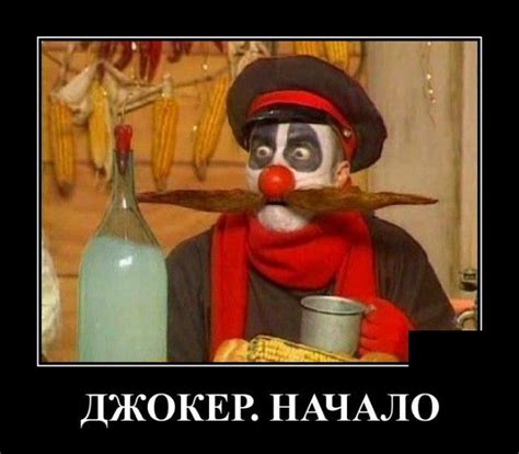 Пин на доске Котики | Смешные поздравительные открытки, Веселые мемы ...