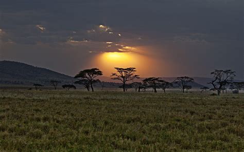 Kenya Wallpapers - Wallpaper Cave