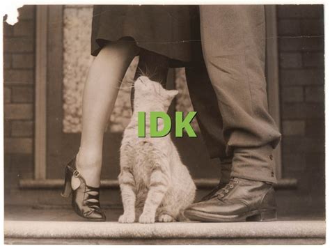 IDK Meaning » Slang term definition & example usage » Slang.org