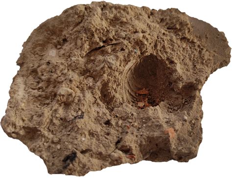 Archaeology | PLOS ONE