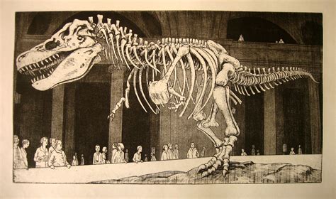America's Most Famous Dinosaur, Sue the T. Rex, Has a Sexual Identity