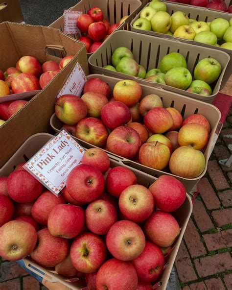 German Village Farmers Market (@germanvillagefarmersmarket) • Instagram