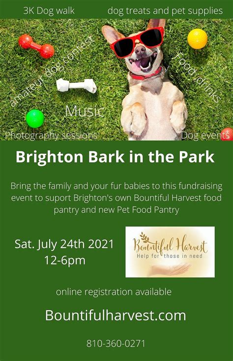 Bark in the Park - Amateur Dog Show, Downtown Brighton, 23 July 2022