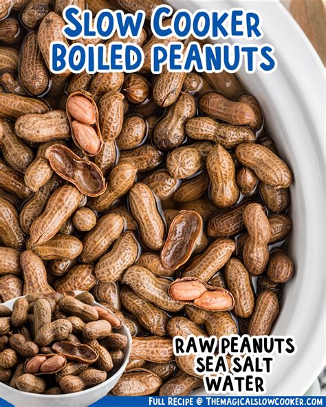 Slow Cooker Magic: Unleashing The Ultimate Snacking Bliss