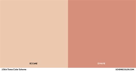 2 Skin Tones Color Scheme - Palettes - SchemeColor.com