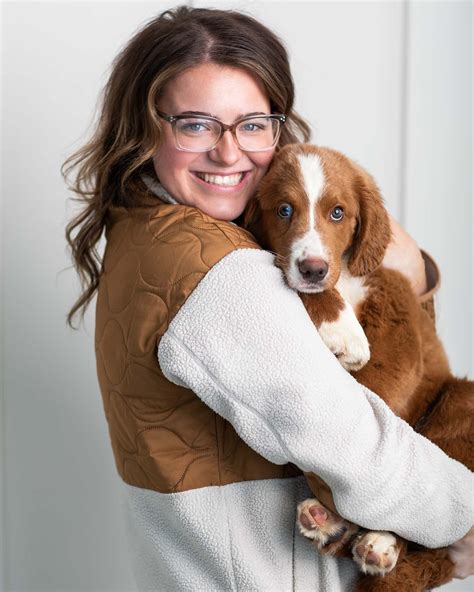 Mini Aussiedoodles — STOKESHIRE