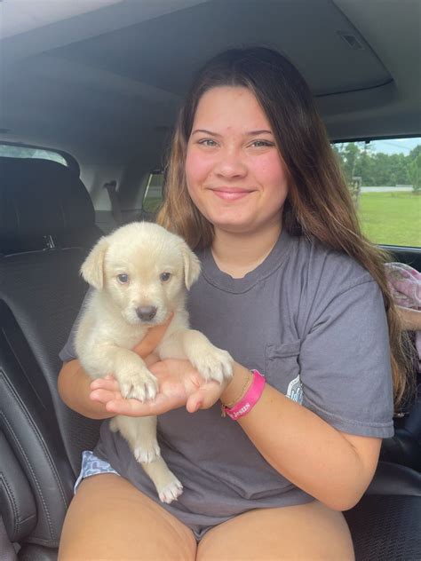 baldwin animal clinic 4