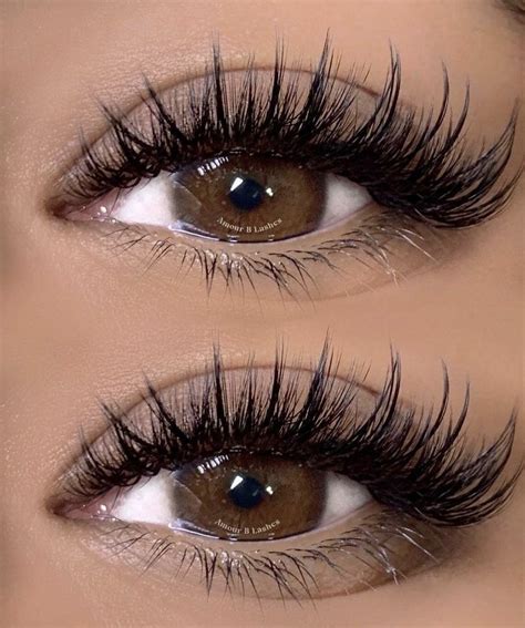 lash mapping  promade fans artofit