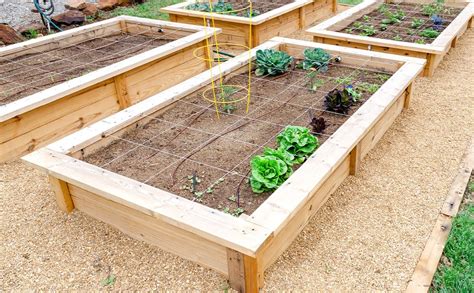 dammanns garden company diy series raised garden beds