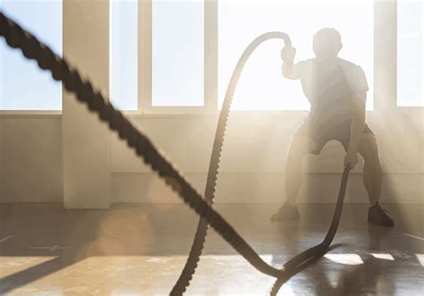 Paddington sports club memberships are reaching new record highs 12