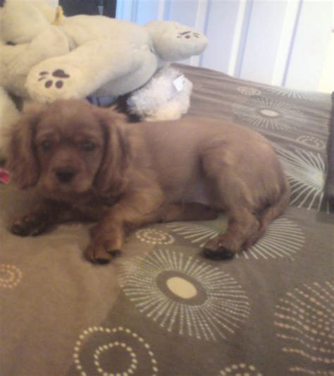 CHARLOTTE PARKES: 2011