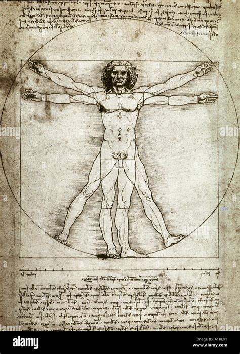 Vitruvian man sketch by Leonardo da Vinci Stock Photo - Alamy