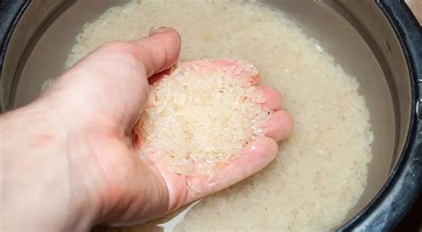 Как правильно варить рис, чтобы он был рассыпчатым — читать на Gastronom.ru