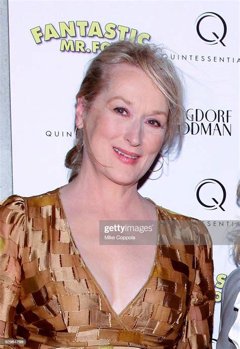 Actress Meryl Streep attends the "Fantastic Mr. Fox" premiere at ...