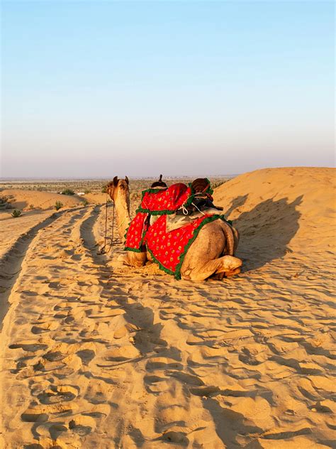 Camel+Toe+Bikinis Photos, Download The BEST Free Camel+Toe+Bikinis