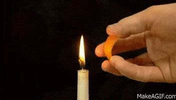 Orange Peel GIFs - Find & Share on GIPHY