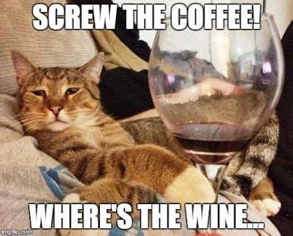 Wine Memes For National Drink Wine Day, Because Nothing Goes Together ...