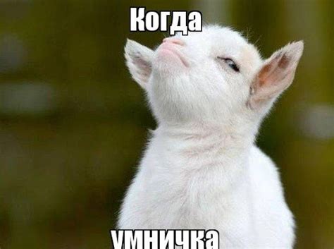 Умничка - красивые картинки (20+ фото) • Бесплатные картинки