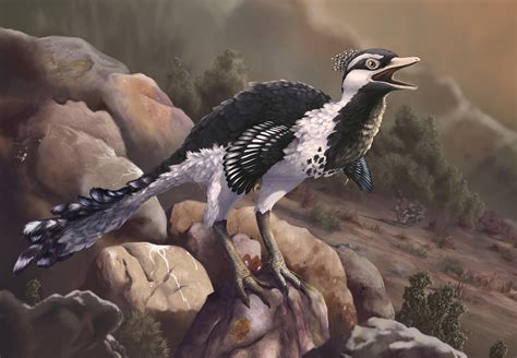 Shuvuuia – Emily Willoughby Art