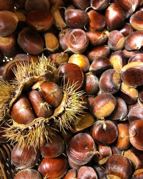 Hidden Gems: Meet Cara-Lee Langston of Wildcraft Kitchen - Voyage ATL