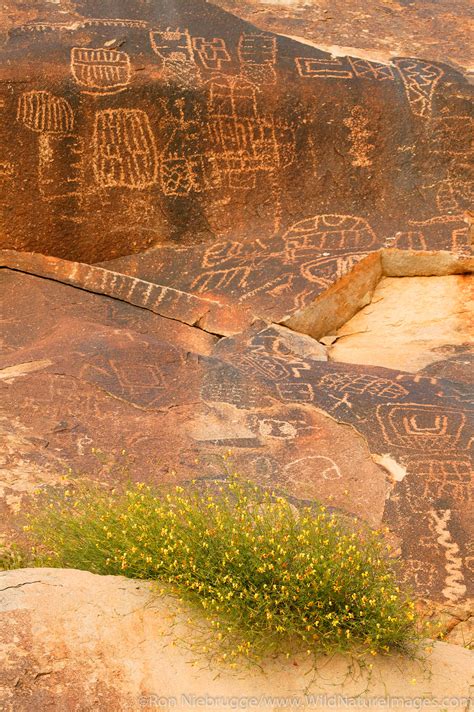 petroglyph   ron niebrugge