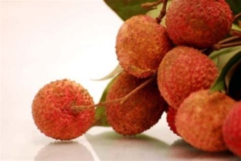 Pěstování liči ze semen: Průvodce krok za krokem - Chovatelka.cz