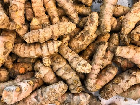 pile  fresh kunyit indonesian spelling  turmeric curcuma longa