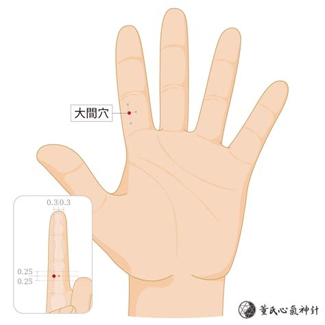 大間穴 - 董氏心氣神針