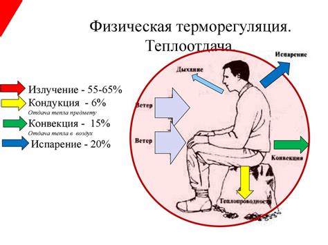 Терморегуляция человека. Перегревание - презентация онлайн