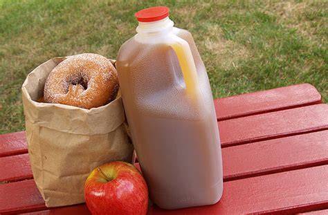 Apple Cider Donuts - Tanners Orchard