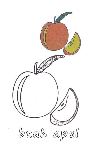 halaman   file sketsa gambar buah apel