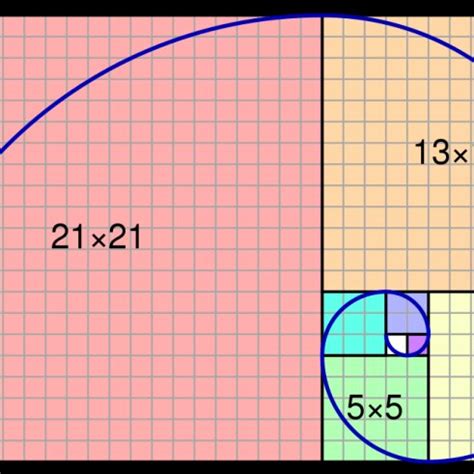 Espiral Perfeita