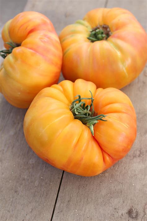 Pineapple Tomato Seeds – Farmhouse Seeds