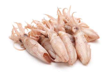 Squid whole Patagonia 10-13cm C4 (5.5kg) | Trofo94
