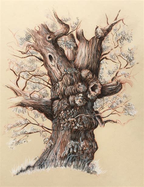 draw  realistic tree printable sunflower coloring pages
