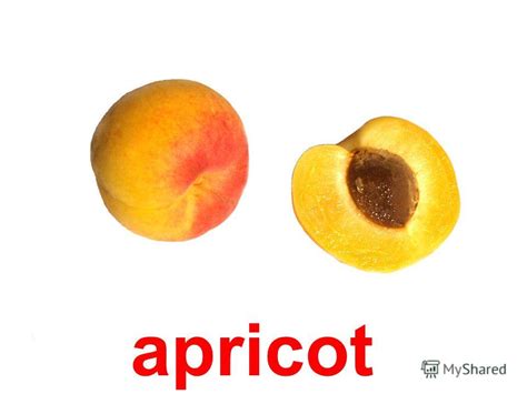 Презентация на тему: "fruits apple pear peach plum alycha apricot ...