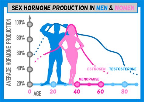cbd  balancing hormones dutch cbd farmers