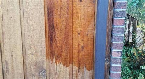 Cedar Stain Restoration | LIME Painting