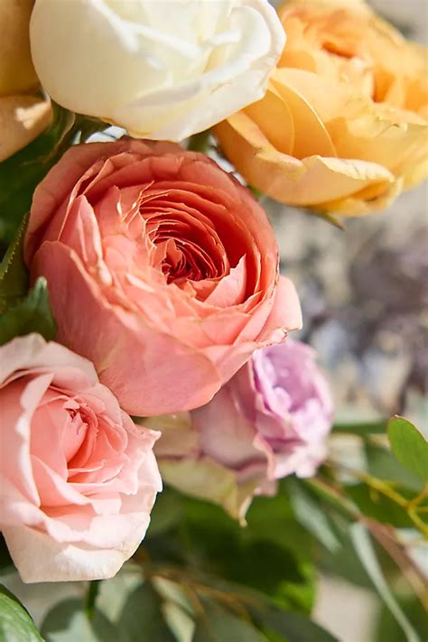 Fresh Mixed Garden Rose Bouquet | AnthroLiving