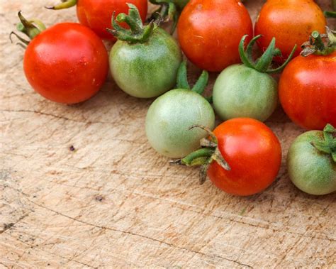 Tomato: World's smallest – Vintage Seed Co.