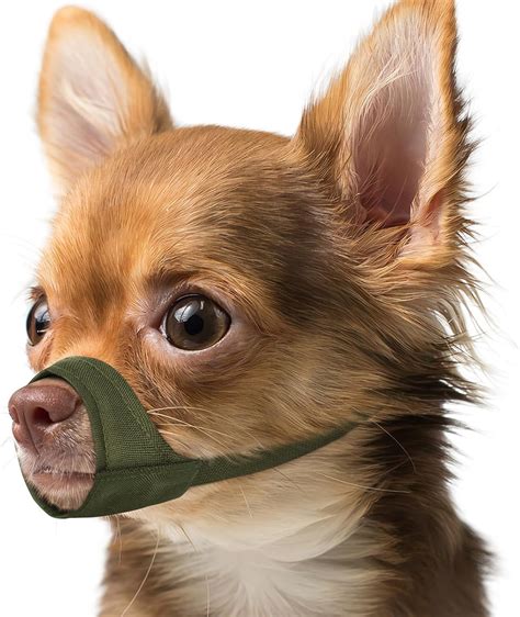 XiaoBanDengShort Snout Dog Muzzle, Small Muzzle for Chihuahua Shih Tzu American Bully Boxer